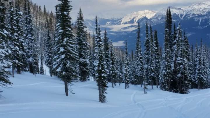 Skiing at Kicking Horse Mountain Resort Golden BC Canadian Rockies