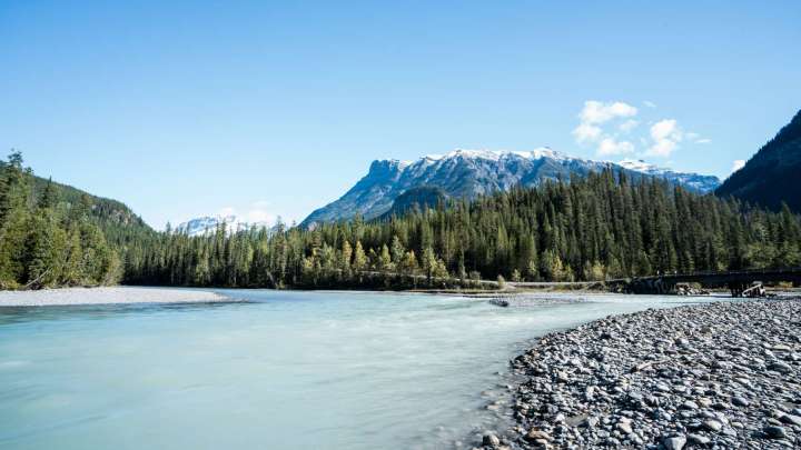 golden bc places to visit