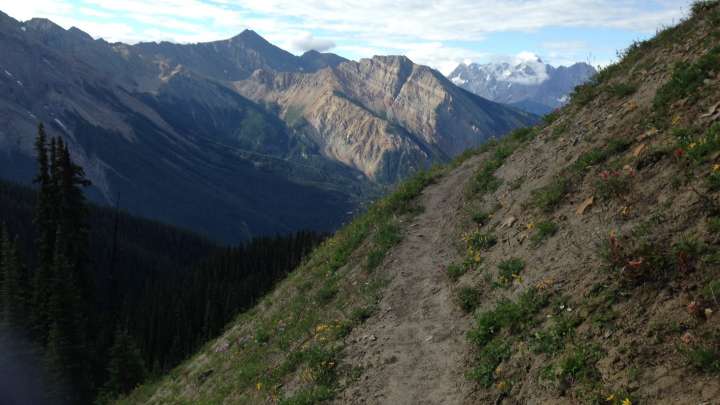 Trail running in Golden BC Canadian Rockies - Burgess Pass