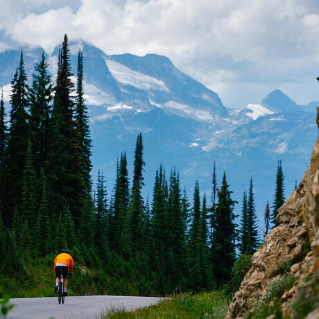 Mount Revelstoke National Park, Credit Zoya Lynch