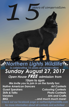 Northern Lights Wolf Centre 