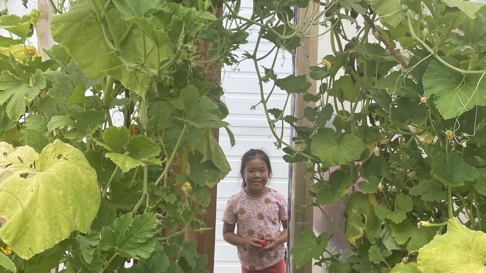 Dirtbag Climbing Corp Greenhouse