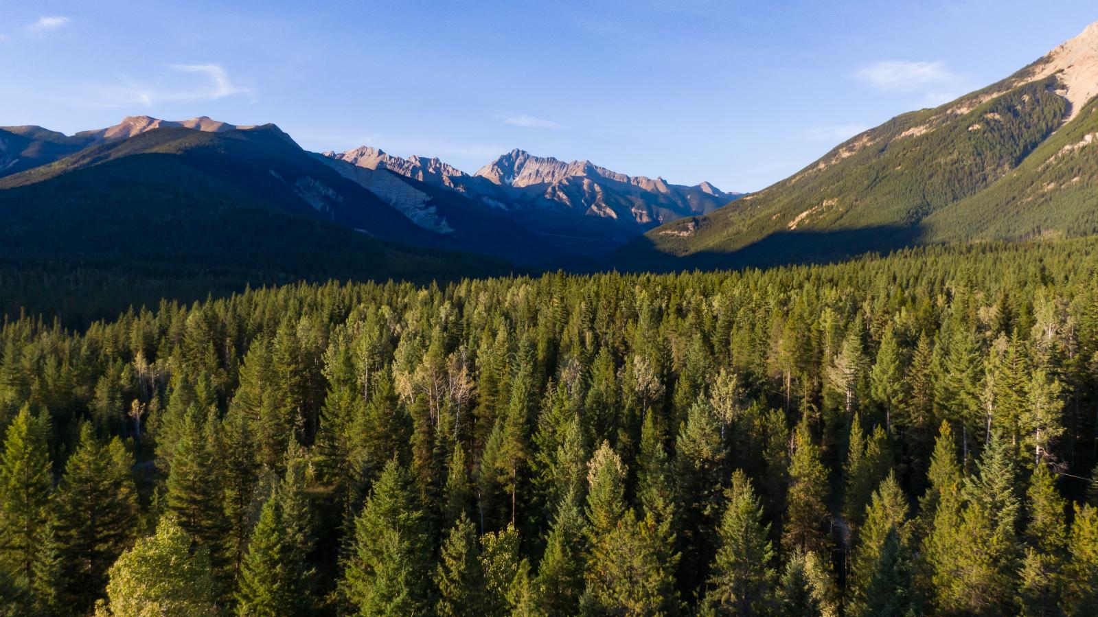 Goat Mountain Chalet View