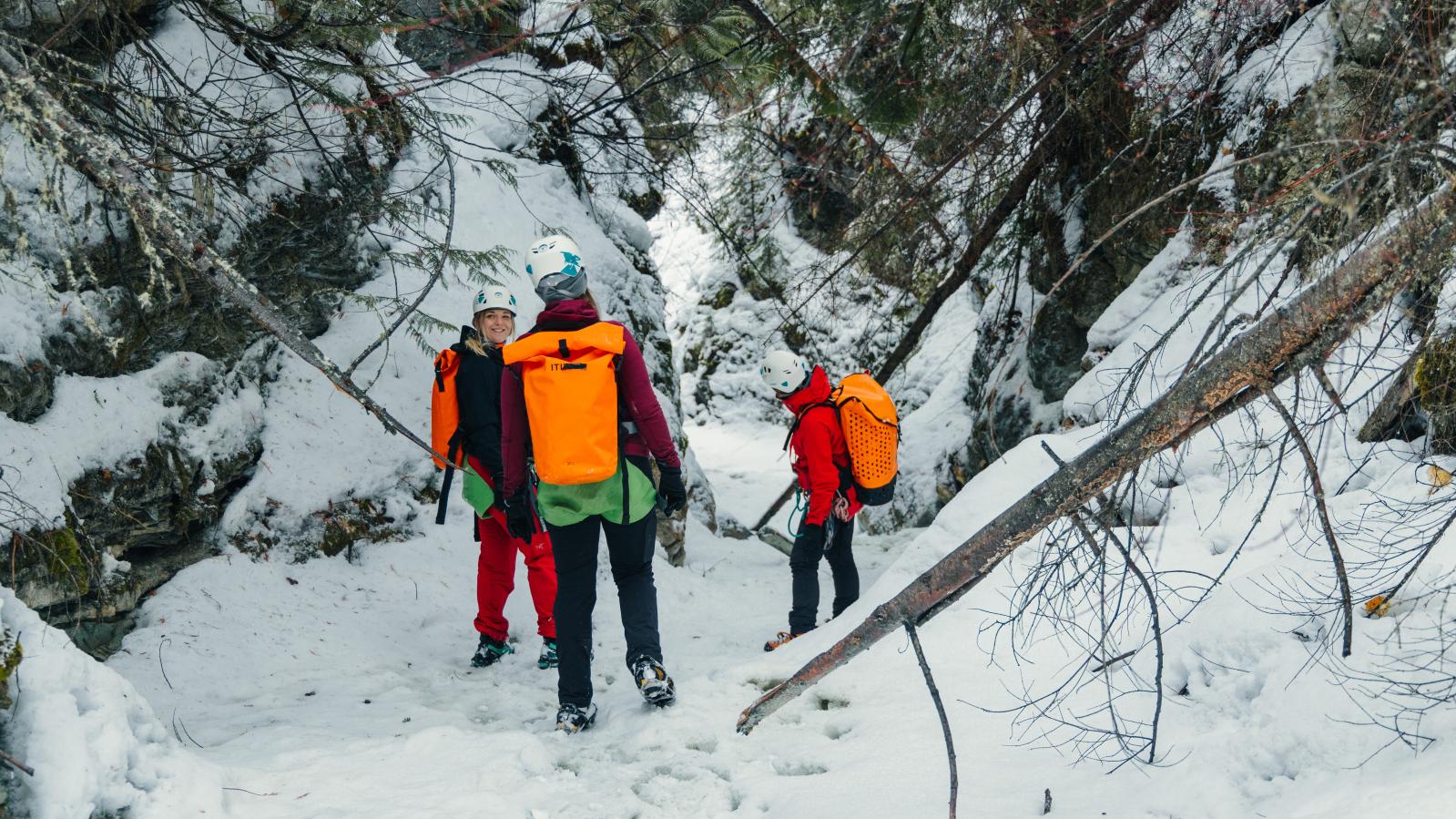 Western Canyoning Adventures Ice Climbing Golden