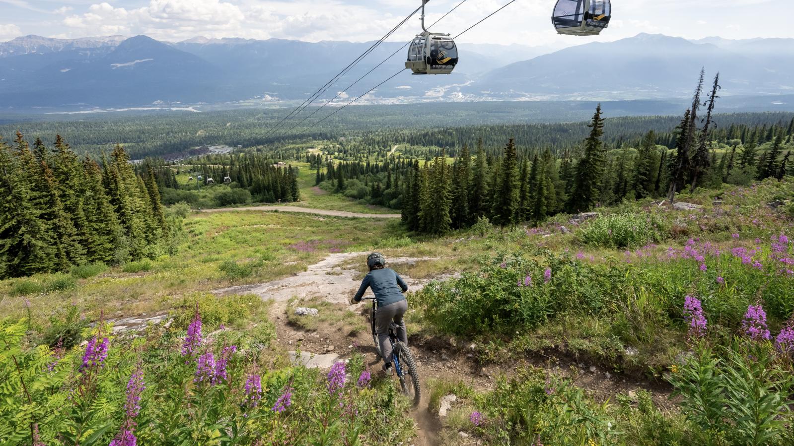 Kicking Horse Mountain Resort BC Bike Park Credit Reuben Krabbe 3