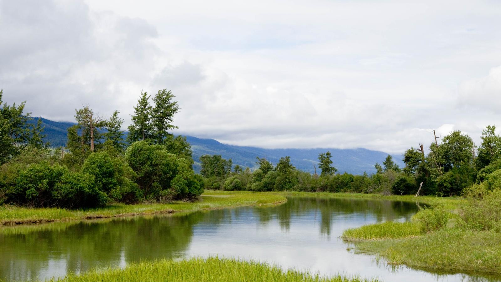 Columbia Wetlands, Columbia River