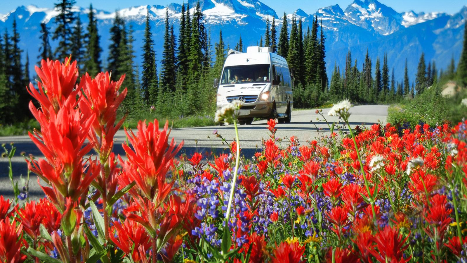 Mt. Revelstoke Meadows in the Parkway