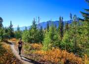 Trail Running - Golden B.C.