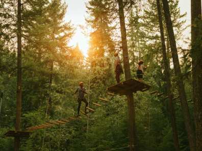 Golden Skybridge Treetop Adventure