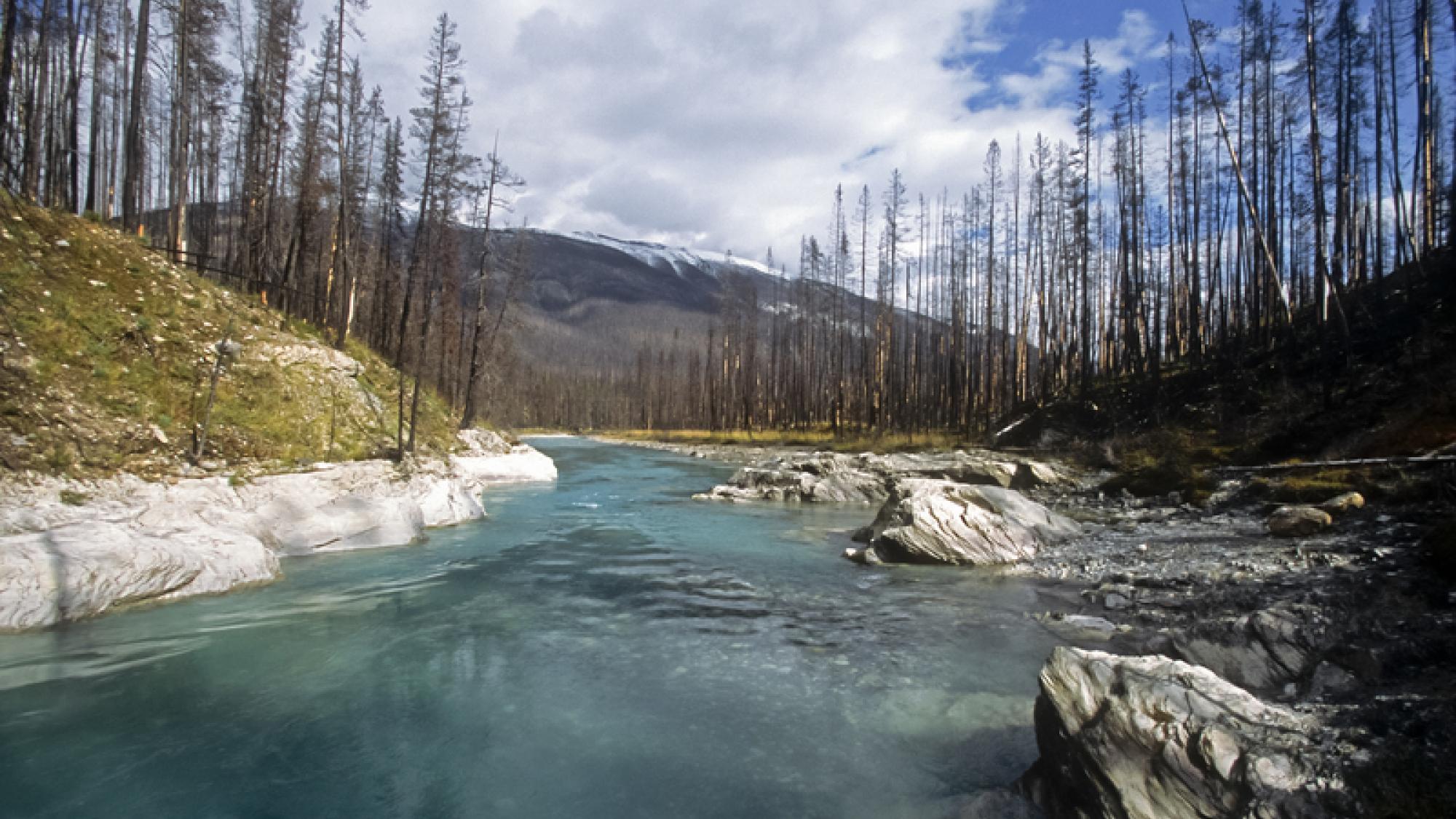 Kootenay National Park | Tourism Golden