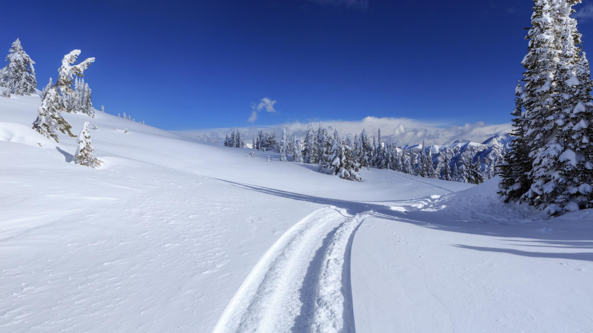 Quartz Creek | Tourism Golden